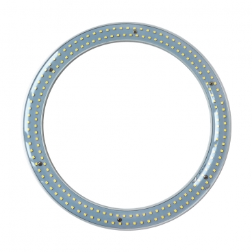 12 Inch 6000K T9 LED Circline Light Bulb
