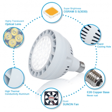 50W 12V LED Poo Light Bulb